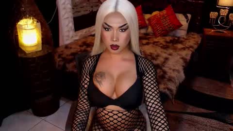 transpornidol online show from February 2026 08:53:02 AM