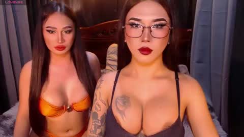 transpornidol online show from July 2026 05:00:01 AM