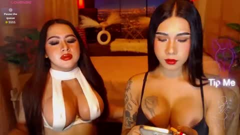 transpornidol online show from July 2026 10:06:02 AM
