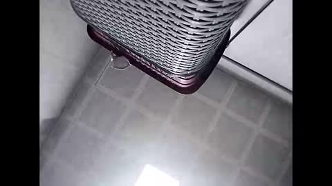 Snapshot of trapper727272 chatting on March 2026 05:41:01 AM Big Head Cock online show from March 2026 05:41:01 AM