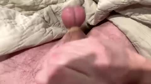 Snapshot of tree553 chatting on January 2025 01:56:02 AM tree553 online show from January 2025 01:56:02 AM