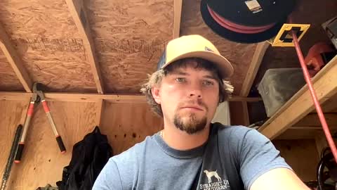 Snapshot of treeman817 chatting on June 2026 11:14:01 PM treeman817 online show from June 2026 11:14:01 PM