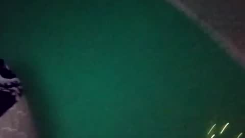treemandude6867 online show from July 2026 01:05:02 AM