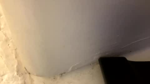 Snapshot of trickydick6 chatting on April 2026 03:42:02 PM trickydick6 online show from April 2026 03:42:02 PM