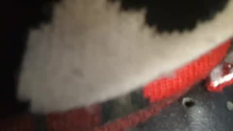 trobelle online show from December 2024 01:43:02 PM