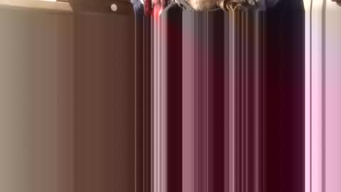 trypodman online show from December 2024 04:31:01 PM