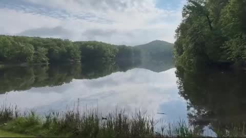 Treistoph online show from February 2026 01:56:02 PM