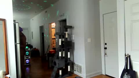 Amber White online show from February 2025 07:46:01 PM