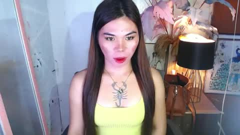 tsnovy online show from December 2024 07:15:01 AM