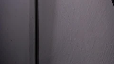 Turner online show from April 2026 12:23:01 PM