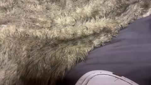 turntpixie online show from March 2026 04:31:01 AM