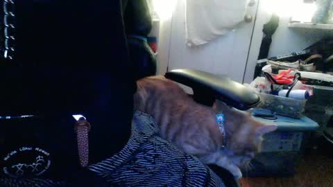 Snapshot of twackedntatted chatting on December 2024 07:37:02 PM TwackedNTatted online show from December 2024 07:37:02 PM