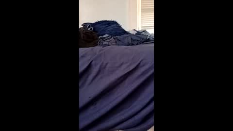 twe4kseeker online show from April 2026 08:55:01 PM