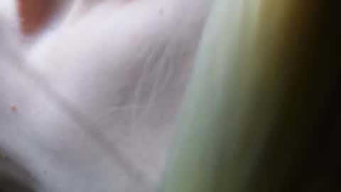 Vicky  Victor online show from March 2025 04:44:02 PM