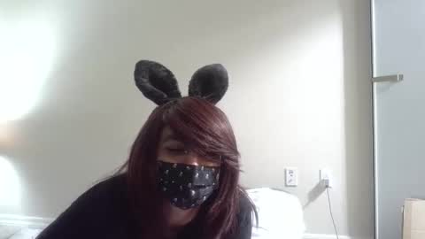 Snapshot of twinkyteddy chatting on October 2025 10:07:02 PM twinkyteddy online show from October 2025 10:07:02 PM