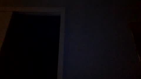 Tyler Durden online show from March 2025 12:29:02 AM