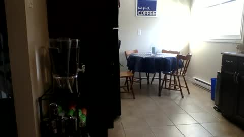 Buzz Bigcock online show from February 2026 08:28:01 PM