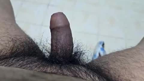 Snapshot of uncuttool3000 chatting on November 2025 03:56:02 PM uncuttool3000 online show from November 2025 03:56:02 PM