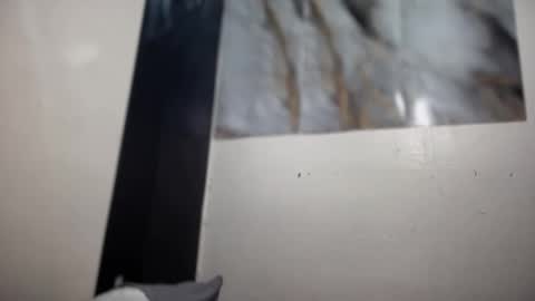 ur_new_obsession online show from December 2025 09:03:01 AM