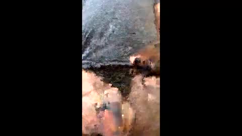 Uramajesty online show from March 2026 12:20:01 PM