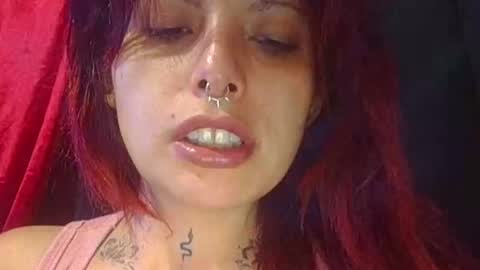 Aniie online show from April 2026 04:04:01 AM