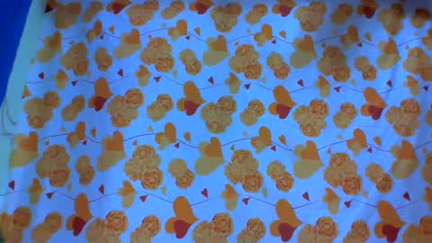 Alexa room  online show from March 2025 01:31:02 AM