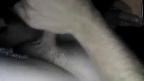 Slave bitch online show from April 2026 10:06:01 AM