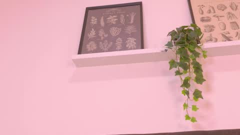 VALENTINA online show from March 2026 11:54:02 AM