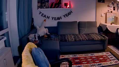 Little Devil online show from January 2026 03:28:01 PM