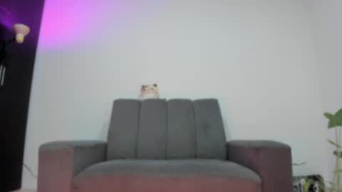 Snapshot of vandalovee chatting on May 2026 09:48:01 AM Babi Alu online show from May 2026 09:48:01 AM