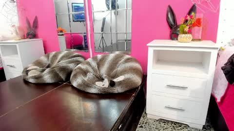 Snapshot of vannellope_roberts chatting on April 2026 12:27:02 PM Vannellope online show from April 2026 12:27:02 PM