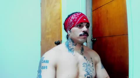 Snapshot of vanvelckan_ chatting on July 2026 06:05:01 AM vanvelckan_ online show from July 2026 06:05:01 AM