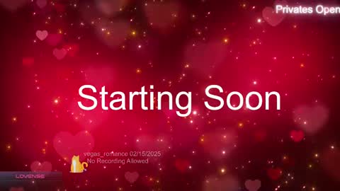 Snapshot of vegas_romance chatting on February 2025 03:15:02 AM vegas_romance online show from February 2025 03:15:02 AM