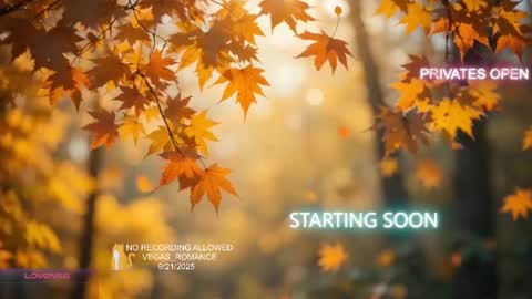 Snapshot of vegas_romance chatting on September 2025 11:50:01 PM vegas_romance online show from September 2025 11:50:01 PM