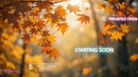 Snapshot of vegas_romance chatting on September 2025 02:16:02 AM vegas_romance online show from September 2025 02:16:02 AM