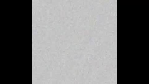 vegeta_ssj online show from September 2025 11:23:02 AM