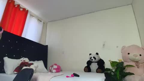 zola online show from November 2025 09:31:01 AM