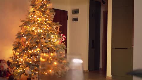 Adalline online show from December 2024 07:54:02 PM
