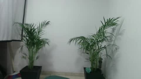 vennus6969 online show from March 2025 01:10:02 AM