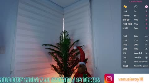 Venus online show from December 2024 10:39:01 PM