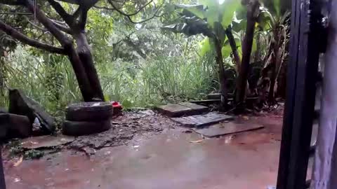 Snapshot of venusandzeus chatting on October 2025 01:37:01 PM venus ... zeus sheer online show from October 2025 01:37:01 PM