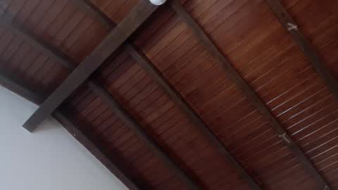 Venus Evans online show from February 2025 03:54:02 AM