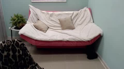 Helen online show from March 2025 11:42:02 AM