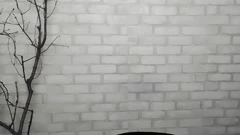 Ana online show from January 2025 05:33:02 PM