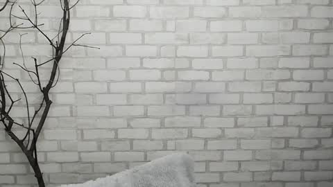 Ana online show from January 2025 12:43:01 PM