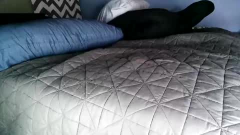 Vexnew online show from November 2025 08:00:01 PM