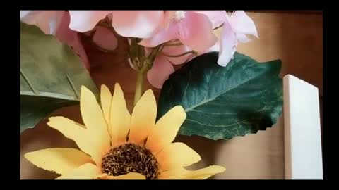 Snapshot of vickyvalencia2 chatting on May 2026 02:02:01 PM vickyvalencia2 online show from May 2026 02:02:01 PM