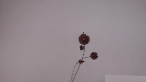 Snapshot of viiolettaaa chatting on June 2026 10:37:01 PM viiolettaaa online show from June 2026 10:37:01 PM