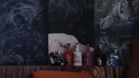 viking online show from December 2025 08:41:02 AM