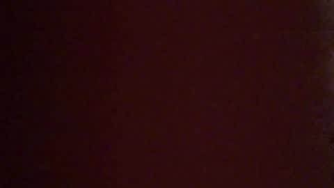 Snapshot of vilnus0 chatting on January 2026 12:15:02 AM vilnus0 online show from January 2026 12:15:02 AM